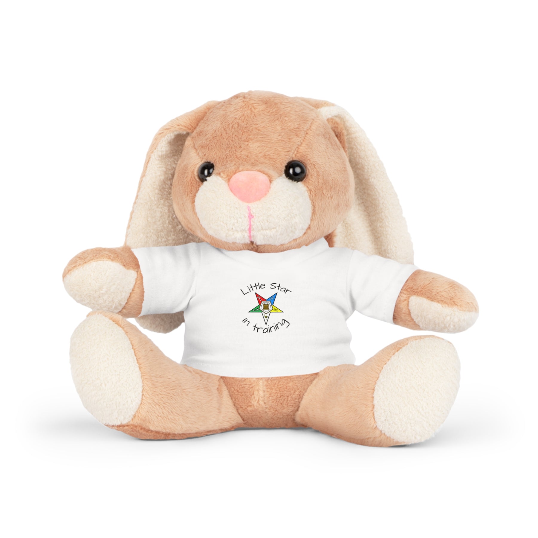 OES Teddy Bear - Little Star In Training 4 Plushies - Bricks Masons
