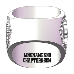 Past Master Blue Lodge Ring - White Gold Plated With Rhinestones - Bricks Masons